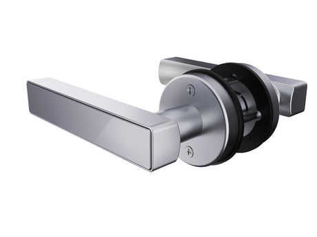 N25 Novo Series β Smart Door Handle N25 Novo Series β Smart Door Handle