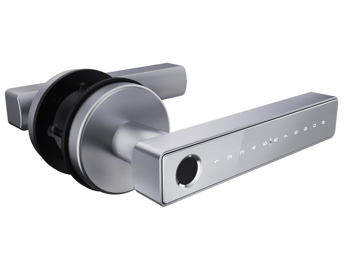 N25 Novo Series – Smart Door Handle N25 Novo Series – Smart Door Handle